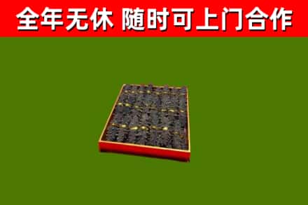 三乡镇回收海参